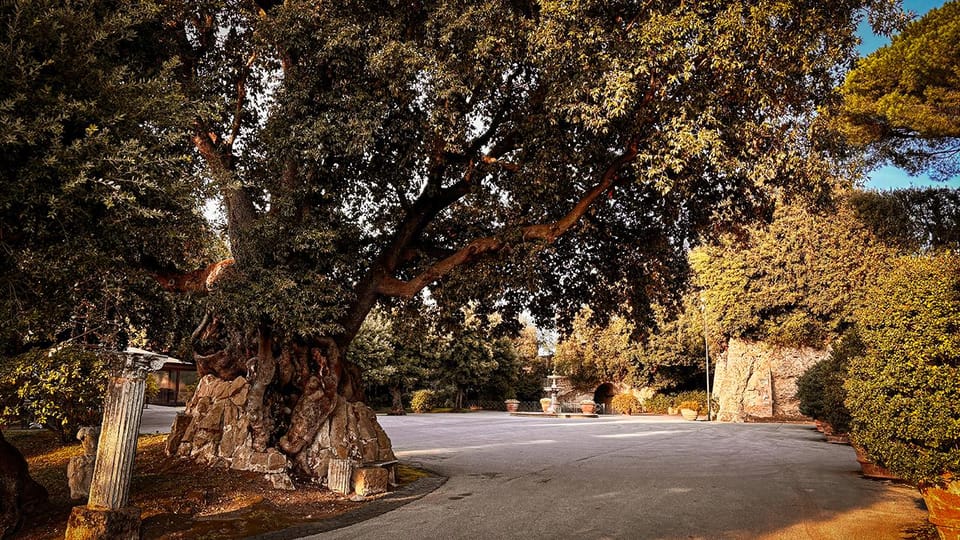 Borgo Laudato Si' - Gardens of Villa Barberini - Quick Takeaways: What You’ll Really Remember