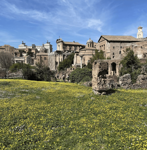 Colosseum, Roman Forum, Palatine Hill - the PRIVATE TOUR - Why this private Colosseum + Forum + Palatine Hill combo works
