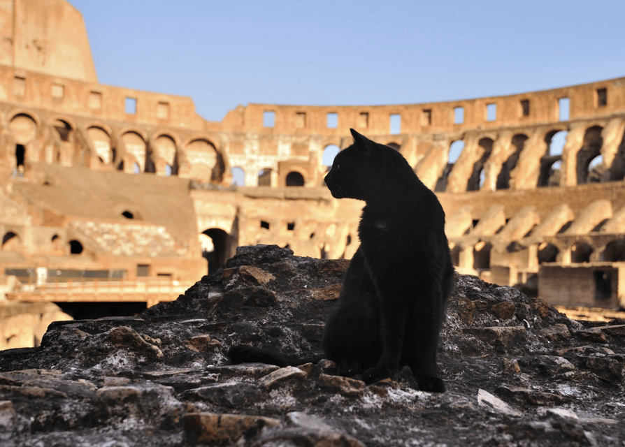 Colosseum, Roman Forum, Palatine Hill - the PRIVATE TOUR - Meeting at the Arch of Constantine and getting your time back