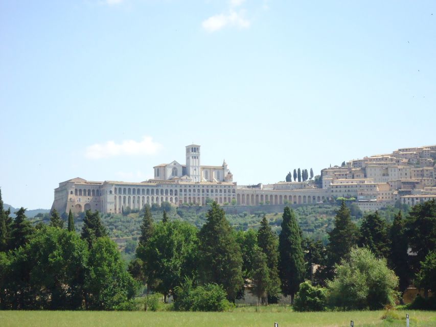 Day trip from Rome to Assisi and Orvieto - 10 hours - Orvieto: a tufa city that makes the Duomo make sense