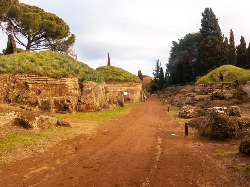 Day trip Rome: Tarquinia and Cerveteri, Etruscan tour - Price and Value: Is $130.28 a Fair Deal?