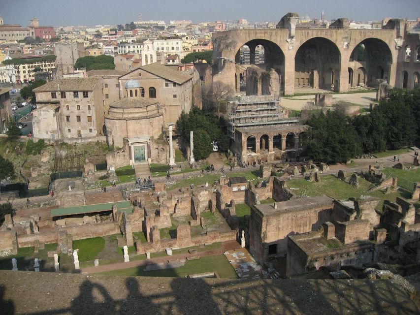Domus Tiberiana, Palatine Hill and Roman Forum Guided Tour - Domus Tiberiana’s reopening changes the whole experience