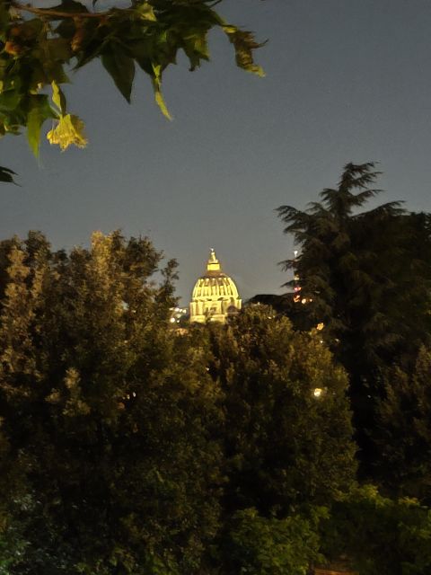 Elegant Rome by night tour and dinner in a local restaurant - Price and Value for a Group Up to 8