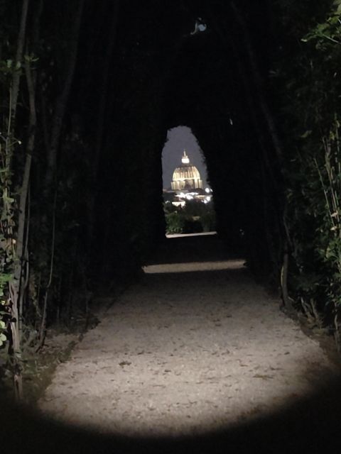 Elegant Rome by night tour and dinner in a local restaurant - Janiculum Hill, Piazza Navona, and Giardino degli Aranci: Night Views You Can Actually Enjoy