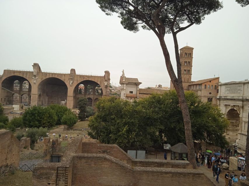 Exclusive tour of Ancient Rome and Domus Tiberiana - Who should book this exclusive Rome tour?