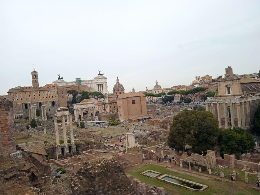 Exclusive tour of Ancient Rome and Domus Tiberiana - Should you book the Ancient Rome and Domus Tiberiana tour?