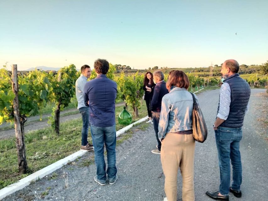 Frascati: 3-Hour Wine and Oil Tasting with Lunch/Dinner - Key things that make this Frascati tasting worth your time