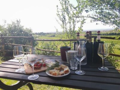Frascati: 3-Hour Wine and Oil Tasting with Lunch/Dinner - Meeting at Vicolo di Prataporci, 8 and Starting on Time