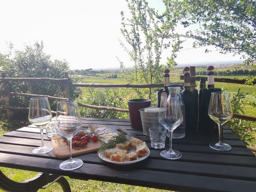 Frascati: 3-Hour Wine and Oil Tasting with Lunch/Dinner - Meeting at Vicolo di Prataporci, 8 and Starting on Time