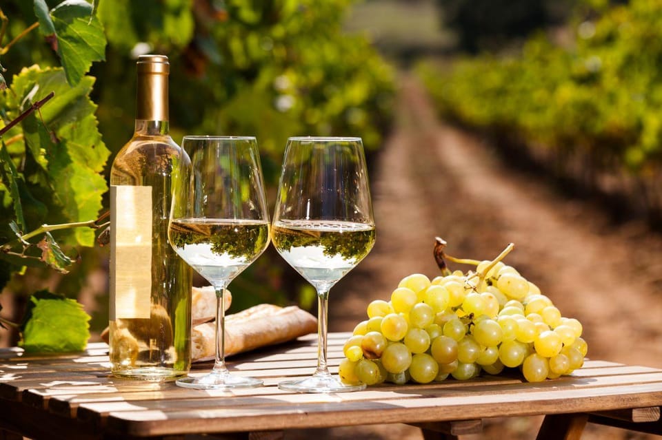 Frascati Private Tour w/ Lunch & Wine Tasting in a Vineyard - Key highlights worth planning for