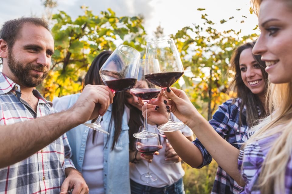 Frascati Private Tour w/ Lunch & Wine Tasting in a Vineyard - Should you book it?