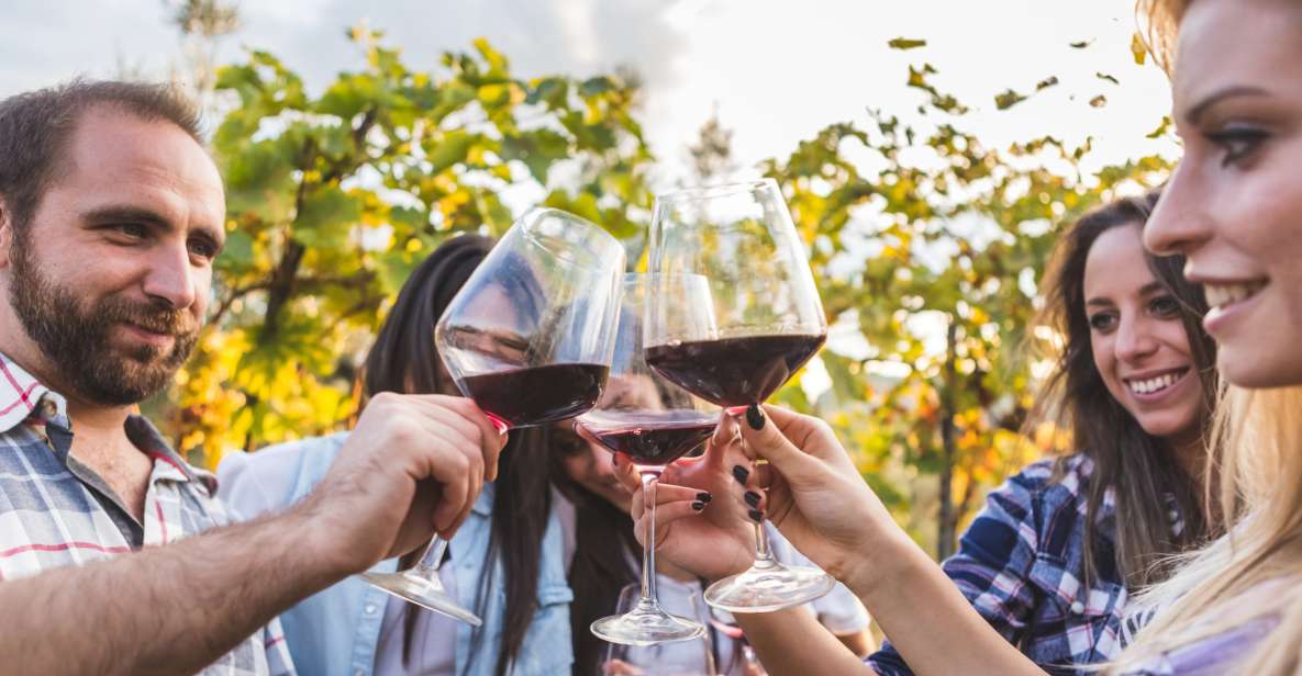 Frascati Private Tour w/ Lunch & Wine Tasting in a Vineyard - Price and value: what you’re paying for at about $279.81