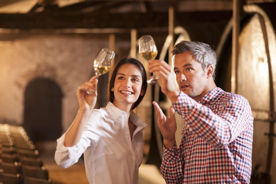 Frascati Private Tour w/ Lunch & Wine Tasting in a Vineyard - Who should book this Frascati private tour