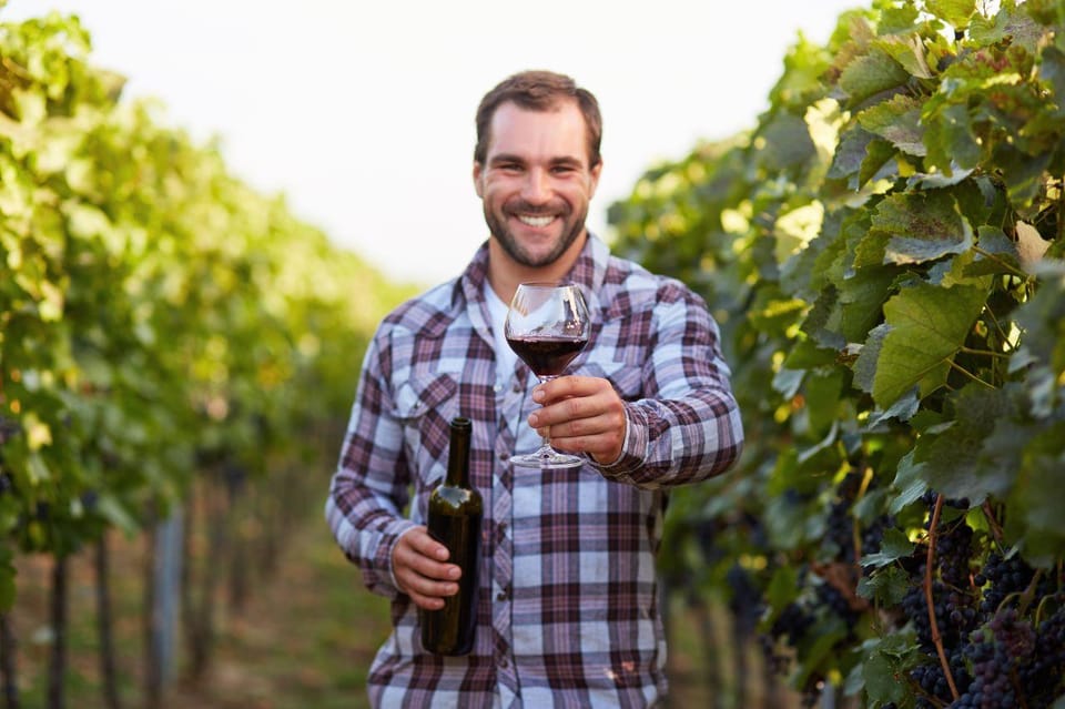 Frascati Private Tour w/ Lunch & Wine Tasting in a Vineyard - Guided stops in Frascati’s piazzas and cathedral