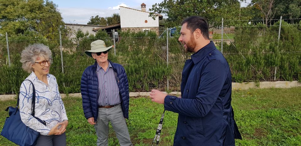 From Civitavecchia: Tuscany-Latium Wine Tour with Tastings - Rules to know before you go: what can slow you down