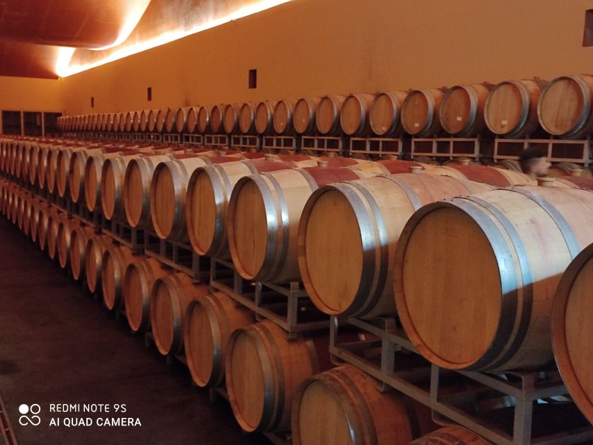 From Civitavecchia: Tuscany-Latium Wine Tour with Tastings - Hill towns and vineyard walking: the Italy you came for