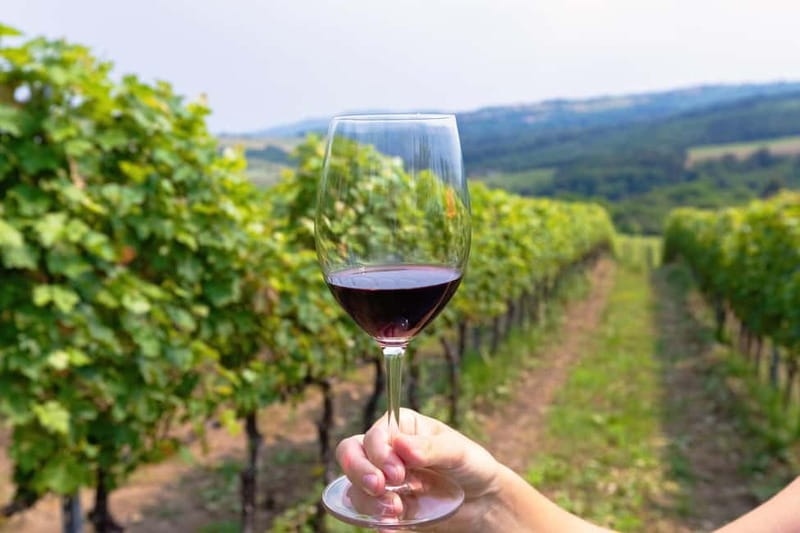 From Roma: Montepulciano and Montalcino, on the Wine Routes - From Piazza del Popolo to Tuscany’s wine hills: the road trip start