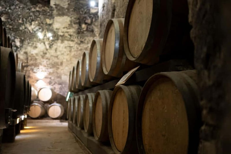 From Roma: Montepulciano and Montalcino, on the Wine Routes - Value for your day: why this feels like a smart wine-route option