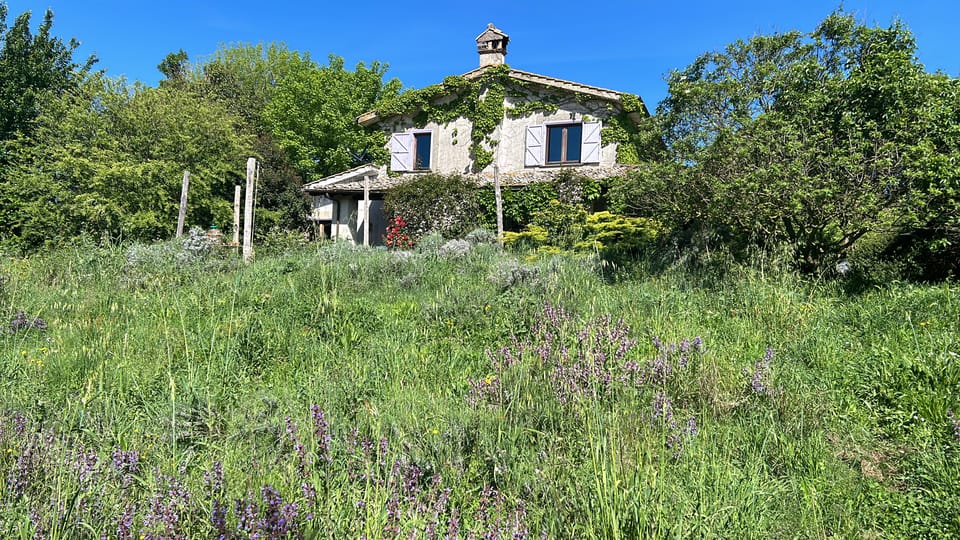 From Rome: Bracciano Lake & Calcata Day Trip, Wines & Lunch - Lake Bracciano shore stop and Orsini Castle views