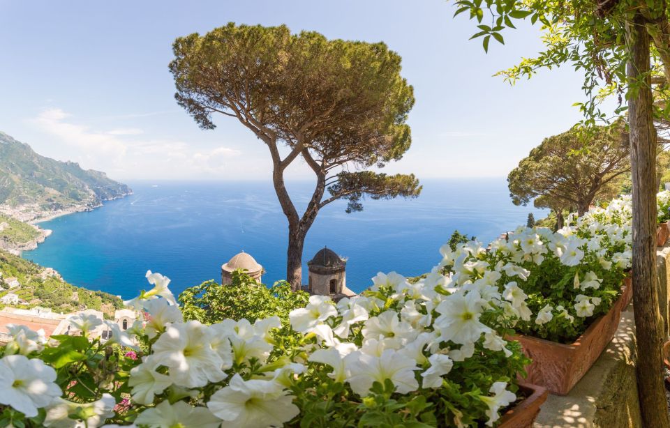 From Rome: Day Trip to Pompeii, Positano, and Amalfi - Key things to know before you go