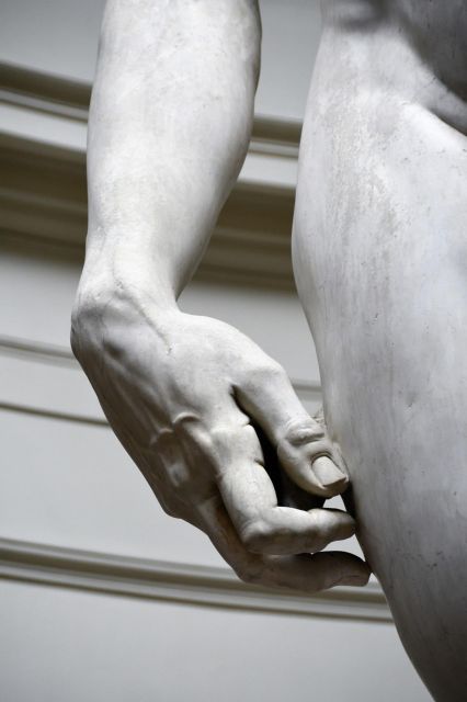 From Rome: Florence and Accademia Guided Tour - Should You Book This Florence and Accademia Day Trip?