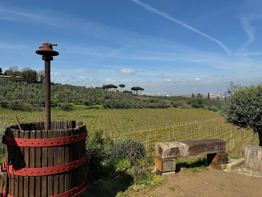 From Rome: Frascati Wine Tour with Lunch and Vineyard tour - Meeting Marco and the Rome-to-Frascati train plan