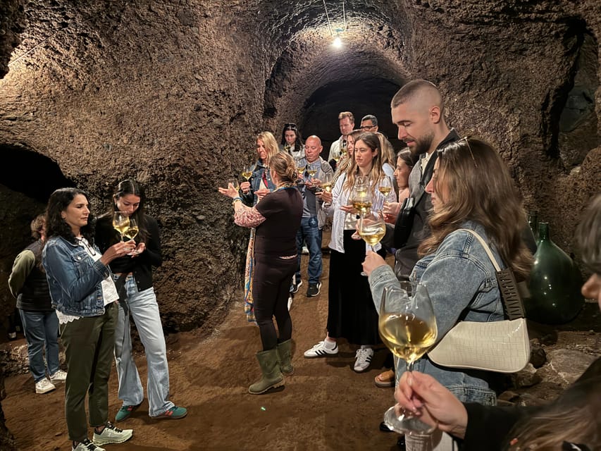From Rome: Frascati Wine Tour with Lunch and Vineyard tour - From the station to the winery: what the van ride sets up