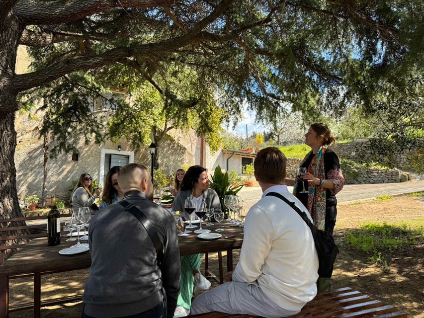 From Rome: Frascati Wine Tour with Lunch and Vineyard tour - The family-owned winery tour and the Ancient Rome wine cave