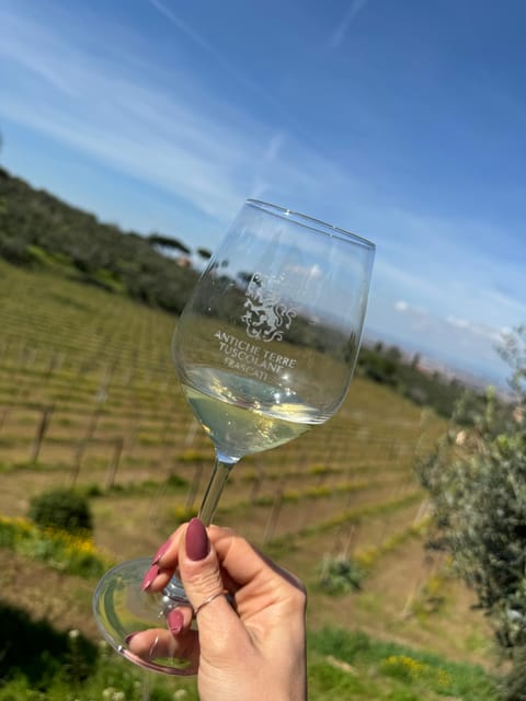 From Rome: Frascati Wine Tour with Lunch and Vineyard tour - Three wines in one tasting: Frascati Superiore, Vagnolo, Cannellino