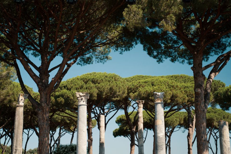 From Rome: Ostia Antica 4-Hour Guided Tour - What the Port City Reveals: Grain, Marble, Slaves, and Wine