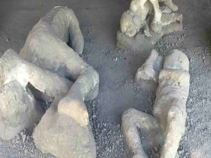 From Rome: Pompeii and Naples, Full Day Tour with Lunch - How the winery stop works: lunch, tastings, and a break that doesn’t waste time
