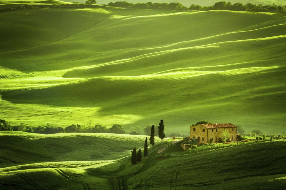 From Rome: Private Tuscany Day Trip - From Rome to Val d’Orcia: the drive that sets the mood