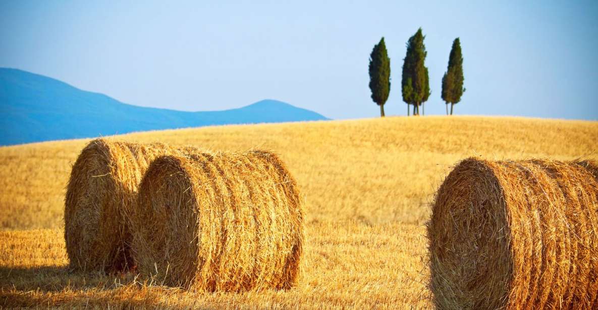 From Rome: Private Tuscany Day Trip - A quick stop through Val d’Orcia (and Monticchiello for extra views)