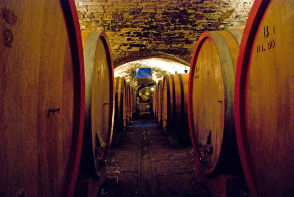 From Rome: Private Tuscany Day Trip - Montalcino: Brunello territory and the Fortezza viewpoint