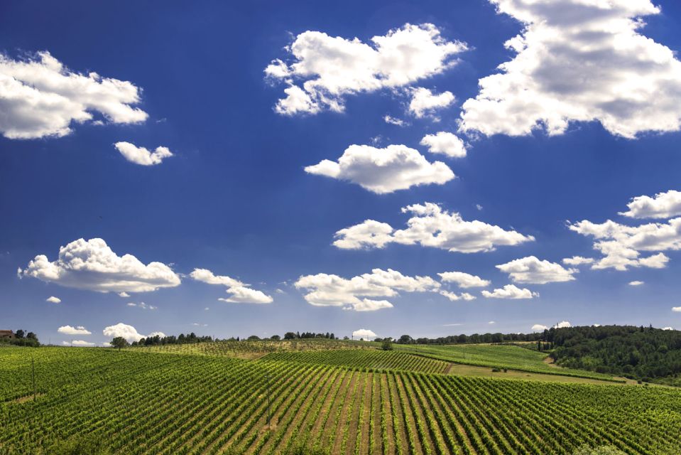 From Rome: Private Tuscany Day Trip - Food on the day: lunch is on you, but reservations help
