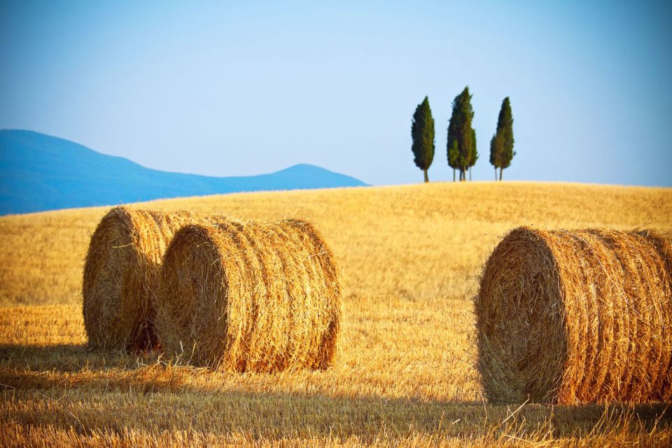 From Rome: Private Tuscany Day Trip - Comfort and vehicle size: Mercedes is the promise, space matters
