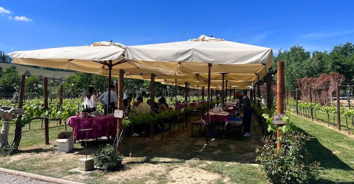 From Rome: Siena and S. Gimignano, Tuscany Wine One Day Tour - From Rome to Tuscany: the minivan ride that actually pays off