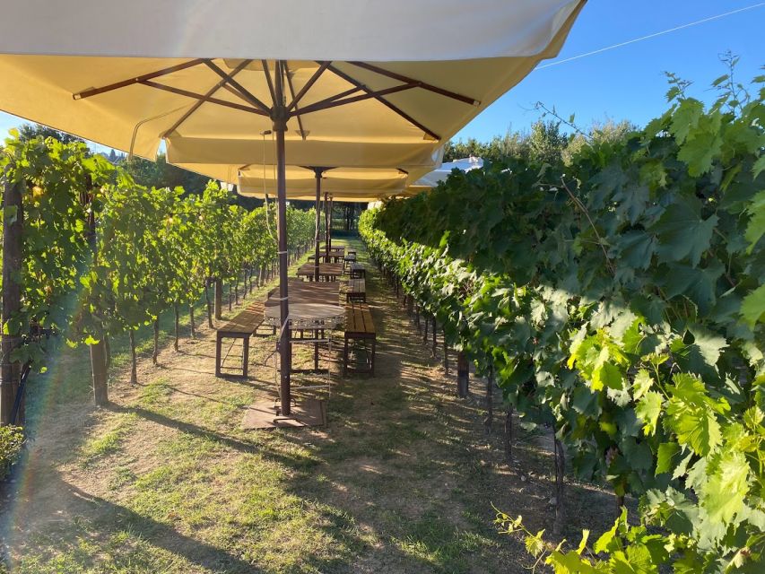From Rome: Siena and San Gimignano, Tuscan Wine Day Tour - Key things I’d prioritize on this tour