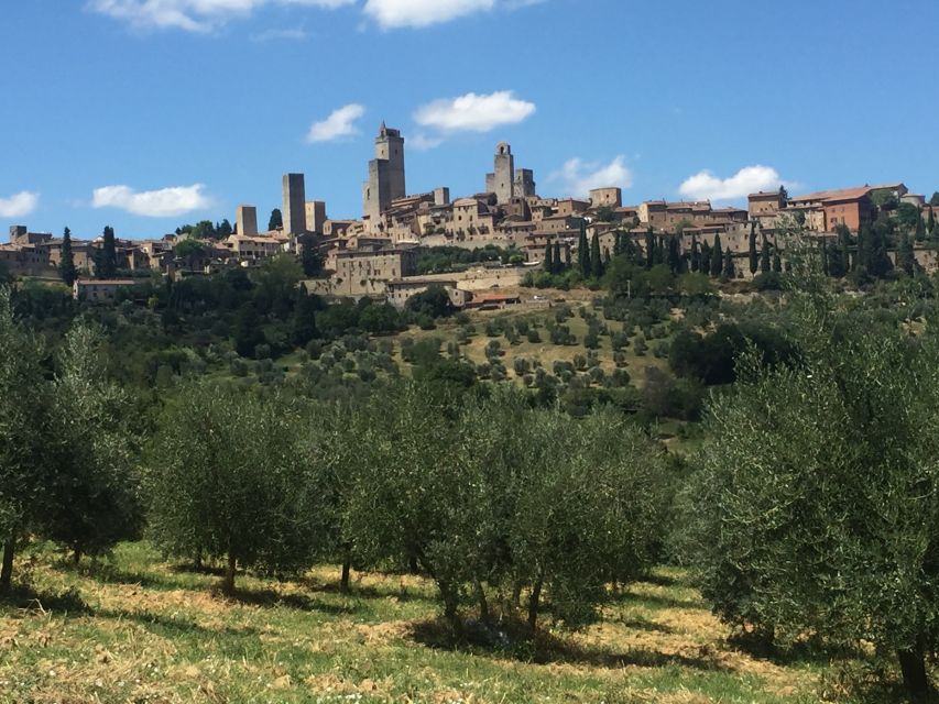 From Rome: Tuscany & Siena with Wine Tasting and Lunch - Pace and comfort: how the day feels on your feet
