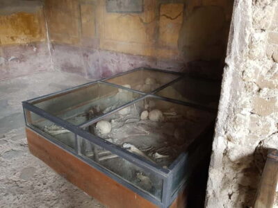 Pompeii: Entry Ticket w/ Guide and Transfers or Audio Guide - From Rome to Pompeii Without the Headaches: Transfers and Scheduling