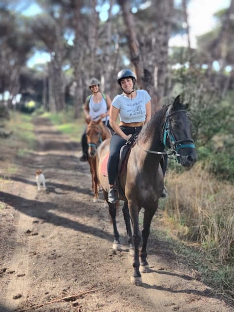 Ride in Rome with meal and wine included - Coffee Break, Lunch in the Pines, and Wine Tasting With Real Recovery Time