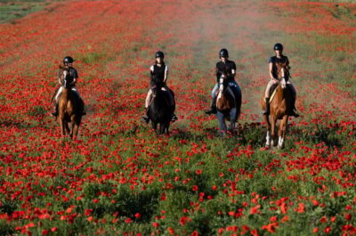 Ride in Rome with meal and wine included - Ostia Antica’s Harbour Ruins by Horseback: What It Feels Like