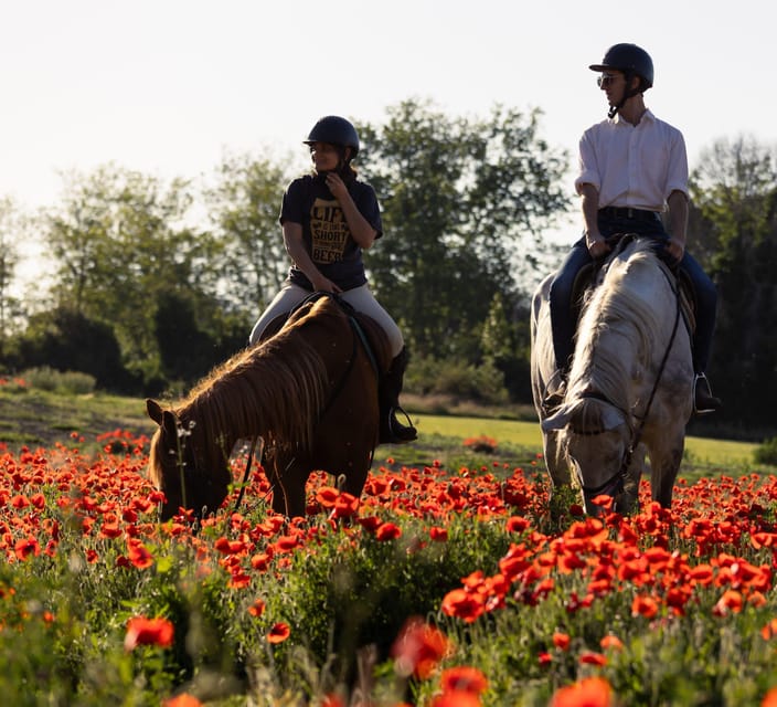 Ride in Rome with meal and wine included - Skill Level Reality Check: Expert Riders Only (So You’ll Enjoy It)