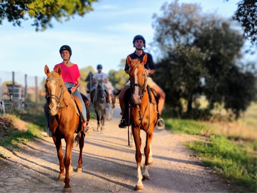 Ride in Rome with meal and wine included - Should You Book This Ride With Meal and Wine Included?