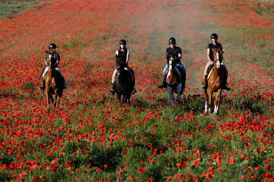 Ride in Rome with meal and wine included - Ostia Antica’s Harbour Ruins by Horseback: What It Feels Like