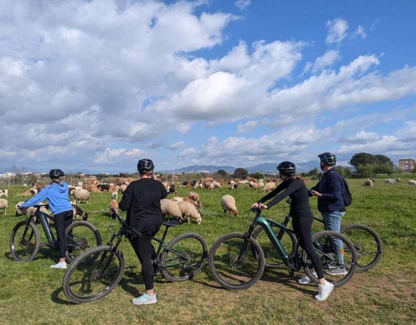 Rome: Appia Antica & Ancient Underground Labyrinth by Ebike - Price and value: why $82.34 can make sense