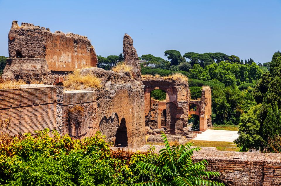 Rome: Caracalla, Colosseum, Circus Maximus Private Tour - Circus Maximus: Seeing the Chariot-Racing Giant in Person