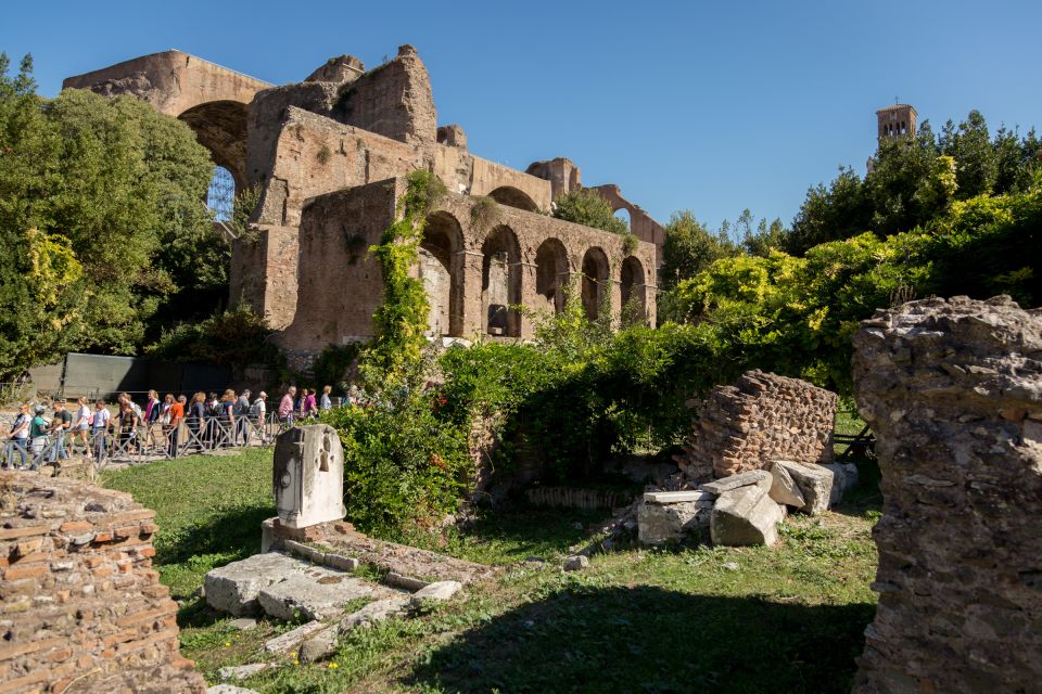 Rome: Colosseum, Forum and Palatine Hill Private Guided Tour - Palatine Hill: Romulus and Remus Plus Imperial Palaces