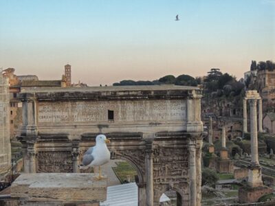 Rome: Colosseum with Arena Floor, Forum & Palatine Hill Tour - Meeting Up at Angelino ai Fori: Fast Start, Clear Location